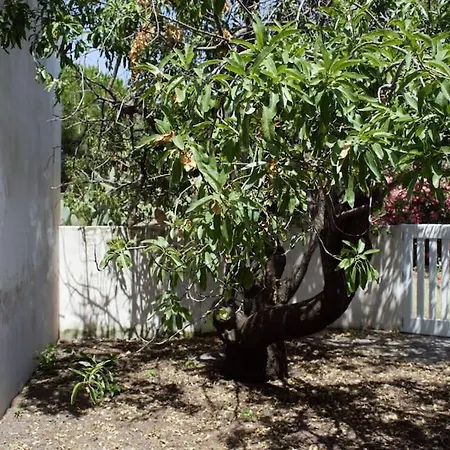 Moby Dick Super Panoramic וילה סטרומבולי