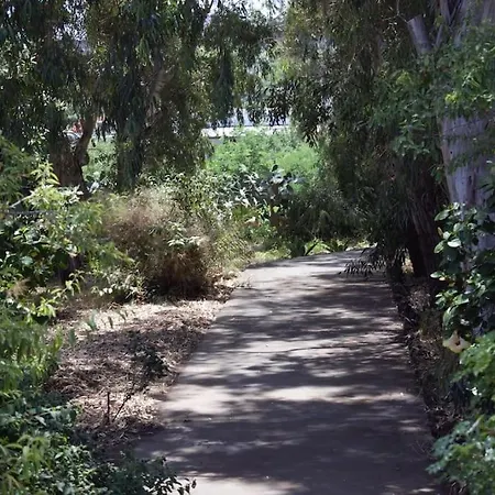 Moby Dick Super Panoramic * סטרומבולי