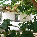 Moby Dick Super Panoramic וילה סטרומבולי