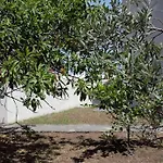 Moby Dick Super Panoramic * סטרומבולי