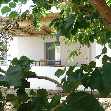 Moby Dick Super Panoramic Vila Stromboli