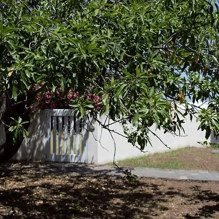 Moby Dick Super Panoramic 别墅