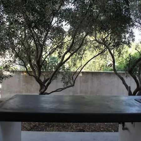 Moby Dick Super Panoramic Stromboli