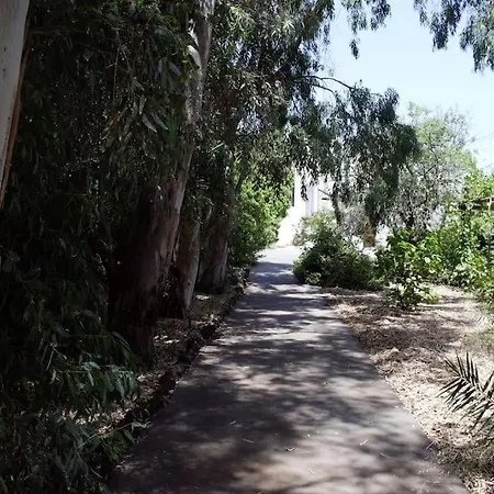 别墅 Moby Dick Super Panoramic