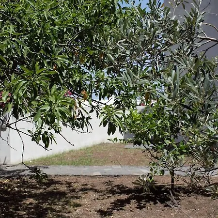 Moby Dick Super Panoramic * Stromboli